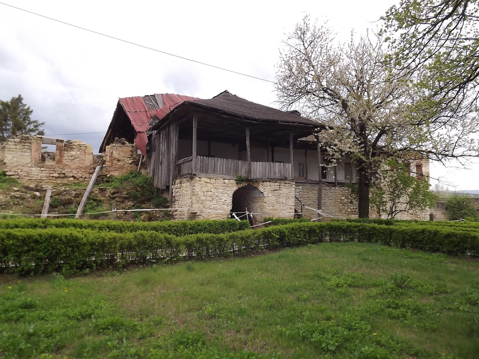 Casa domnească ruinată de la Mănăstirea Bârnova, cu prispă de lemn pe temelie de piatră și un pom înflorit alături