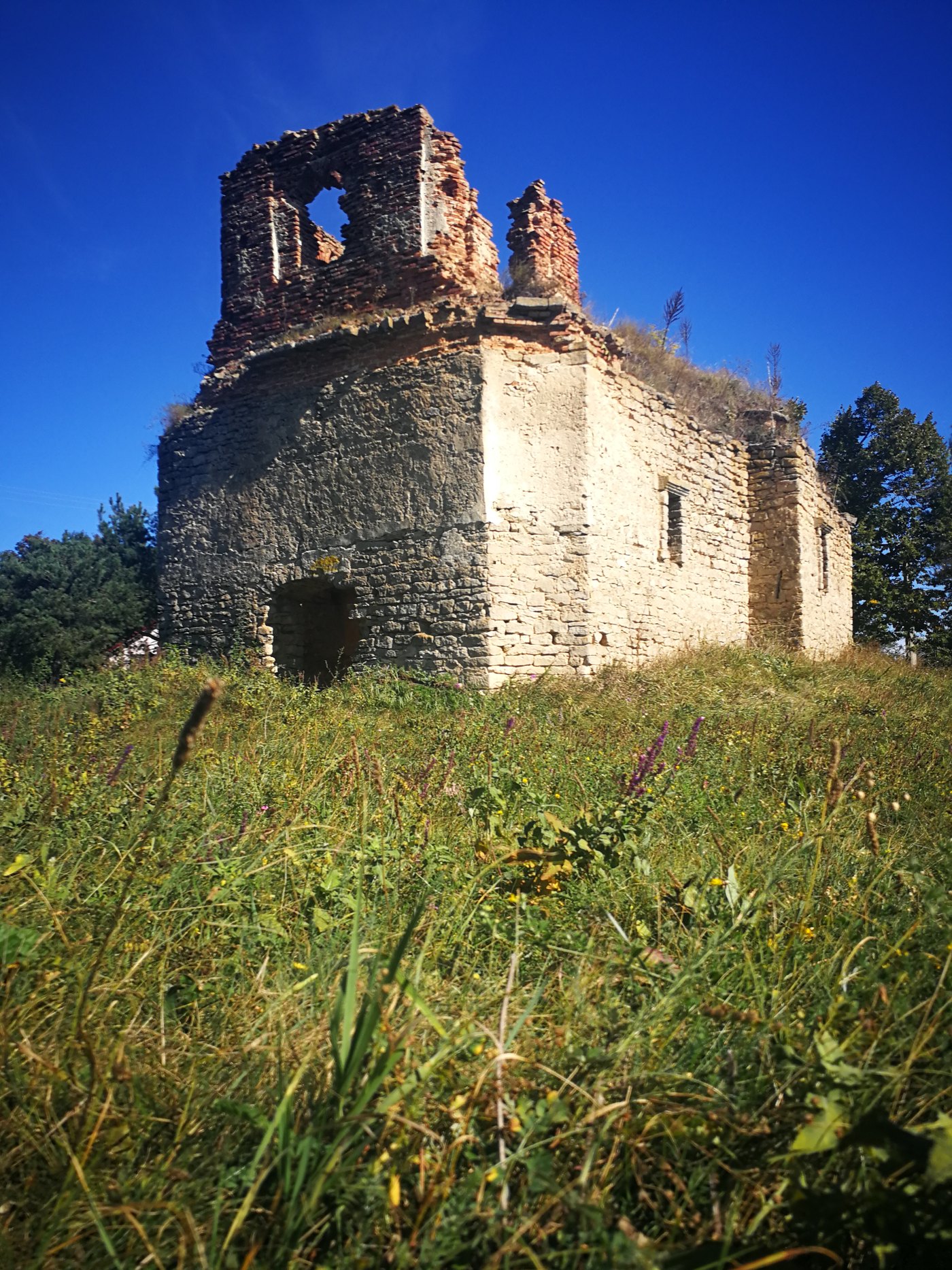 Ruinele bisericii lui Cujbă din Poiana cu Cetate — ziduri de piatră cu clopotniță de cărămidă spartă, fotografiate de jos, dintre ierburi înalte, pe cer senin